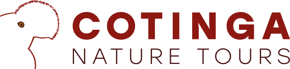 Logo Cotinga